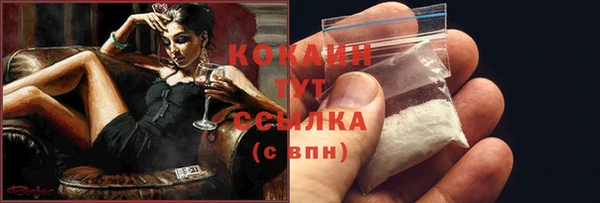 шишки Абаза