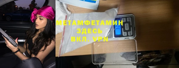 шишки Абаза