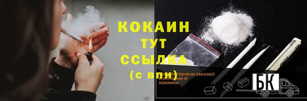 шишки Абаза
