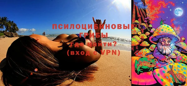 шишки Абаза
