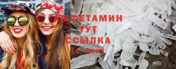 шишки Абаза