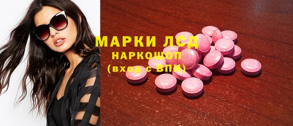шишки Абаза