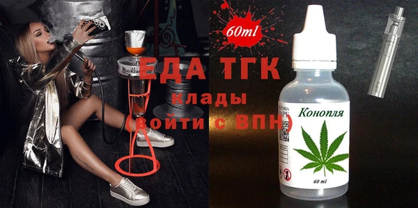 шишки Абаза
