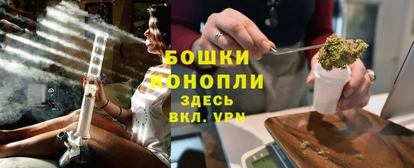 шишки Абаза