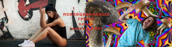 каннабис Абинск