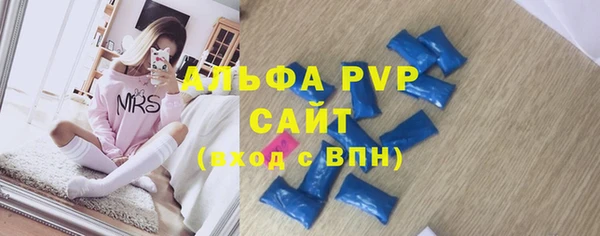 шишки Абаза