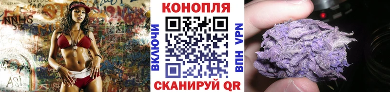 MEGA сайт  Хасавюрт  Конопля SATIVA & INDICA  купить наркотик 